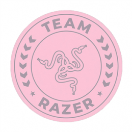 Razer Team Razer Floor Rug,...