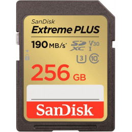MEMORY SDXC 256GB...