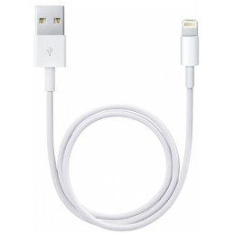 Apple Lightning to USB 1m
