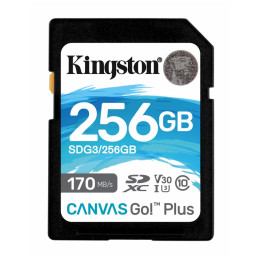 Kingston Canvas Go Plus 256GB