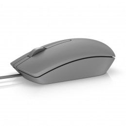 DELL MS116 mouse...