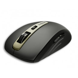 Rapoo MT350 mouse...