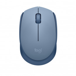 Logitech M171 mouse...