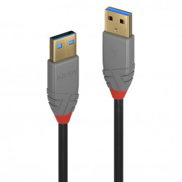 Lindy 0,5m USB 3.2 Type A...