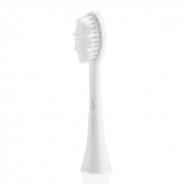 ETA Toothbrush replacement...