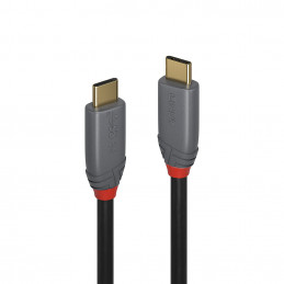 Lindy 0.5m USB 3.2 Type C...