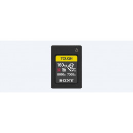 Sony CEA-G160T 160 GB...