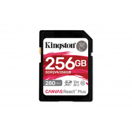 Kingston Technology 256GB...