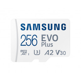 Samsung EVO Plus 256 GB...
