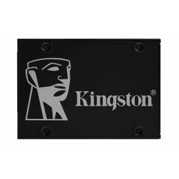 Kingston Technology 256G...