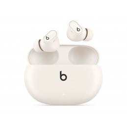 Beats | True Wireless...