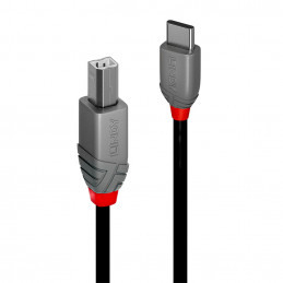 Lindy 2m USB 2.0 Type C to...