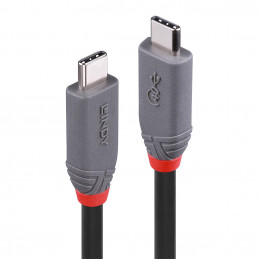 Lindy 36947 USB кабель 0,8...