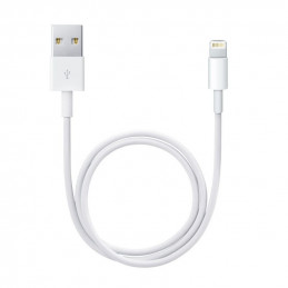 Apple Lightning to USB...