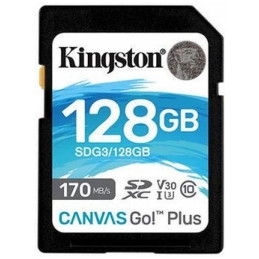 Kingston Canvas GO Plus 128GB