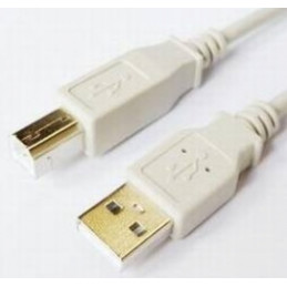Kabelis Brackton USB Male -...