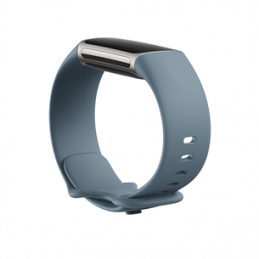 Fitbit Infinity Band Charge...