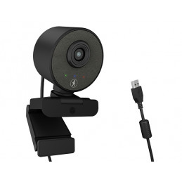 ICY BOX IB-CAM501-HD webcam...